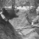 Image for article titled The Incredible Story of Wojtek, the Soldier Bear